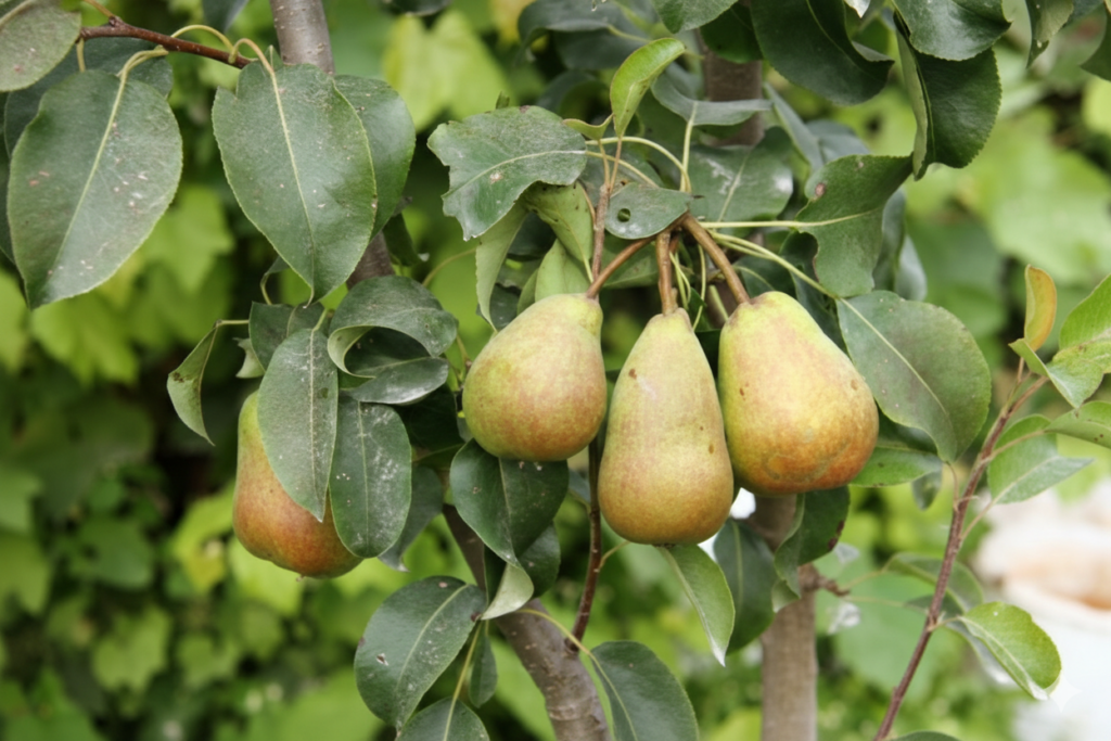 gemini generated image ekp51wekp51wekp5